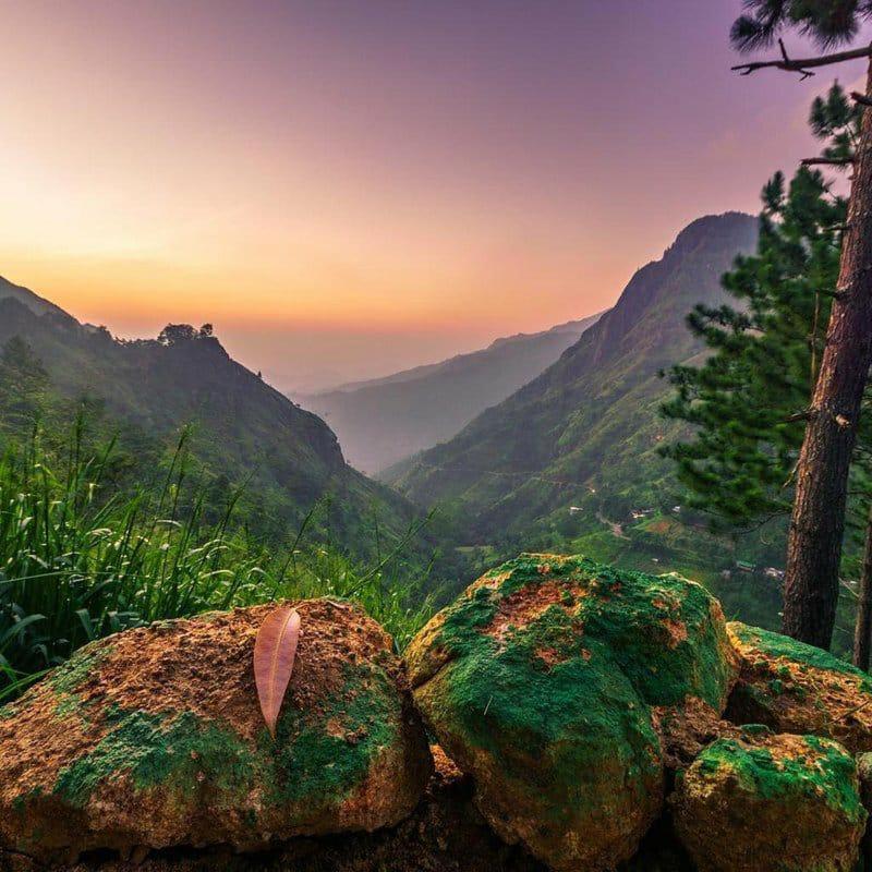 The Ella Valley 외부 사진