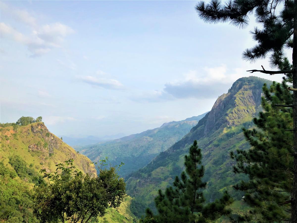 The Ella Valley 외부 사진